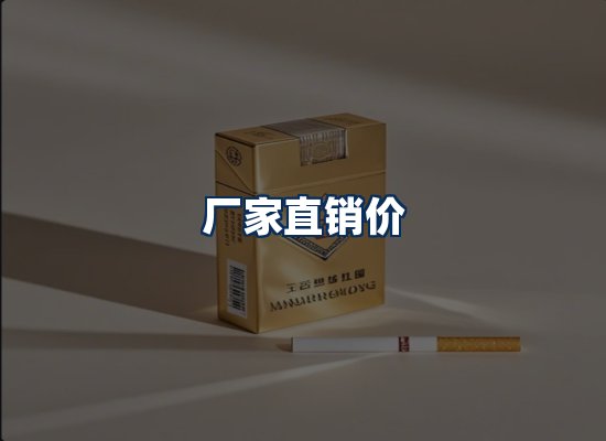专业团队办公环境